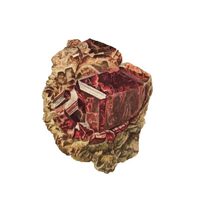 GARNET