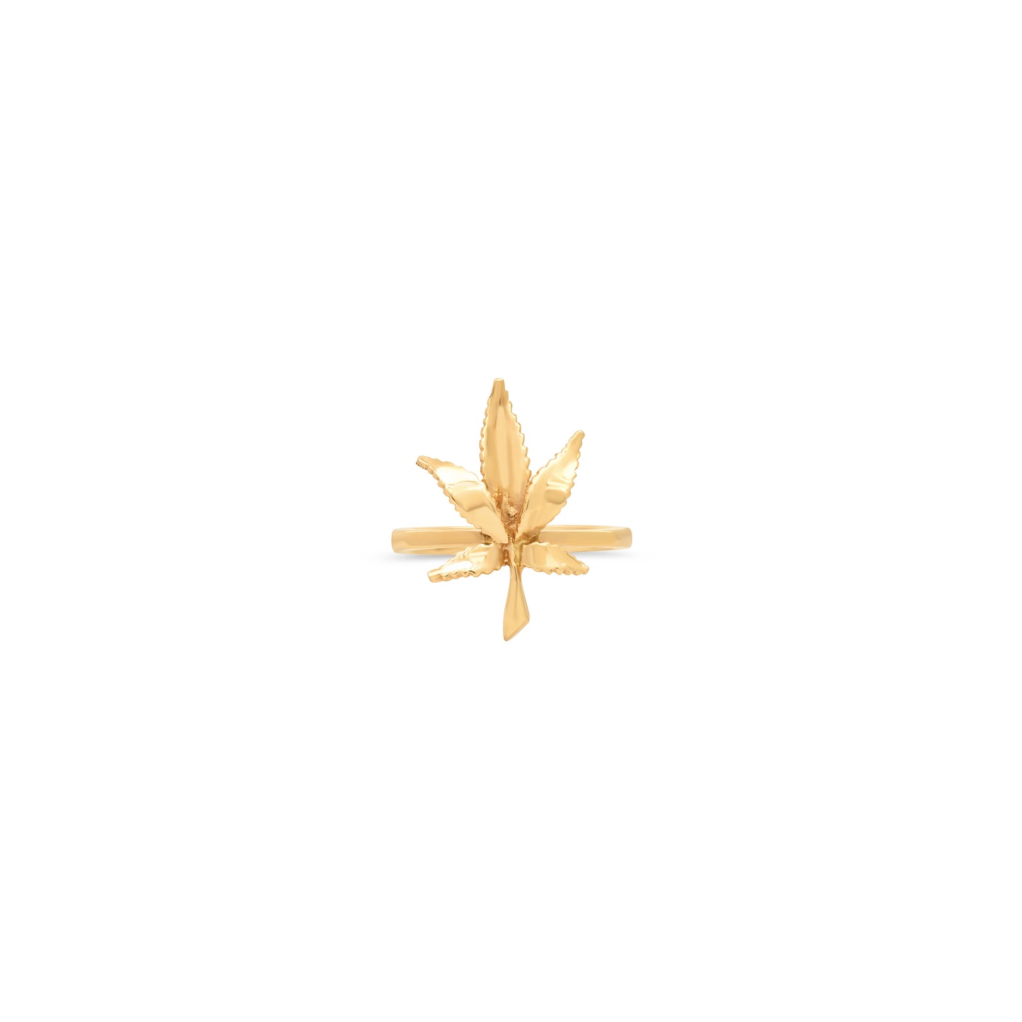 Exclusive Mary Jane Small Leaf Ring