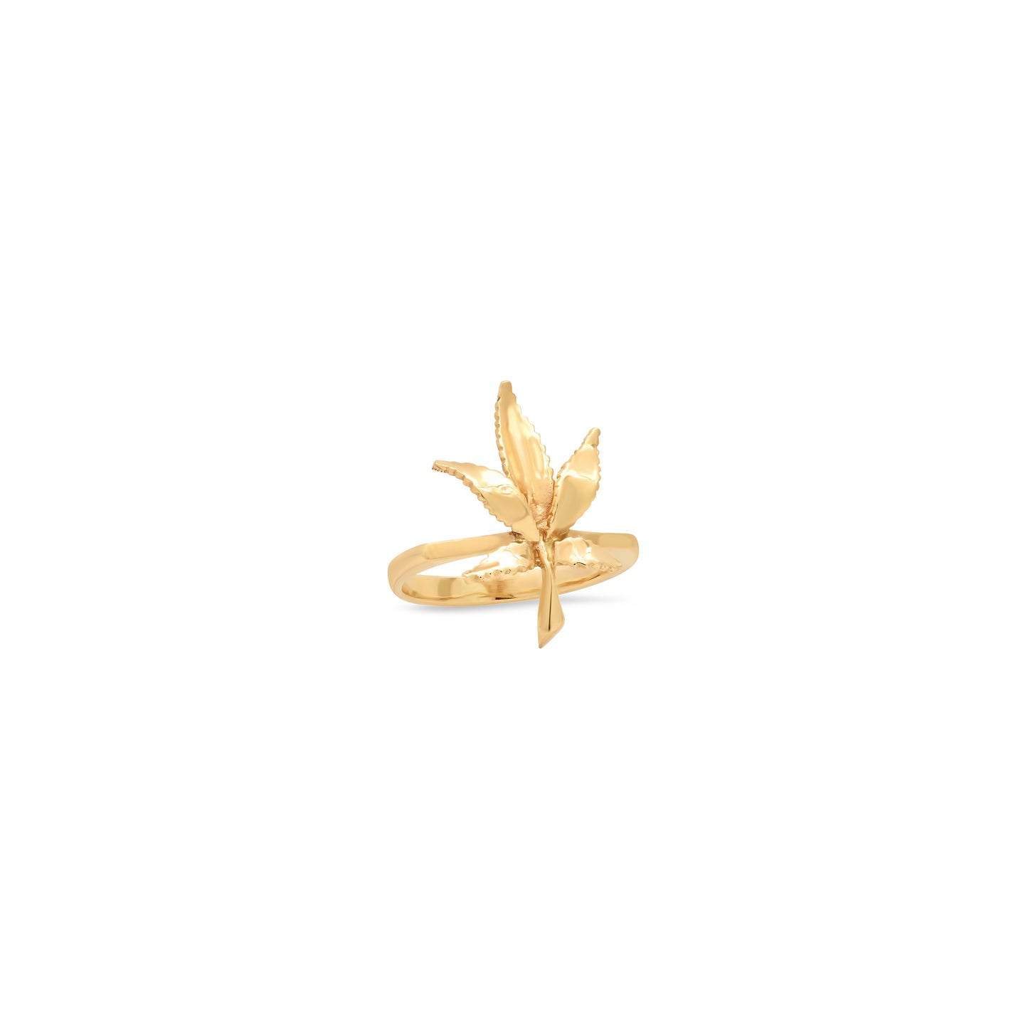 Exclusive Mary Jane Small Leaf Ring